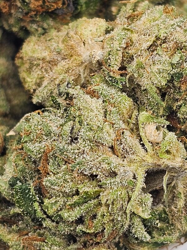 Pink Rockstar - Image 2