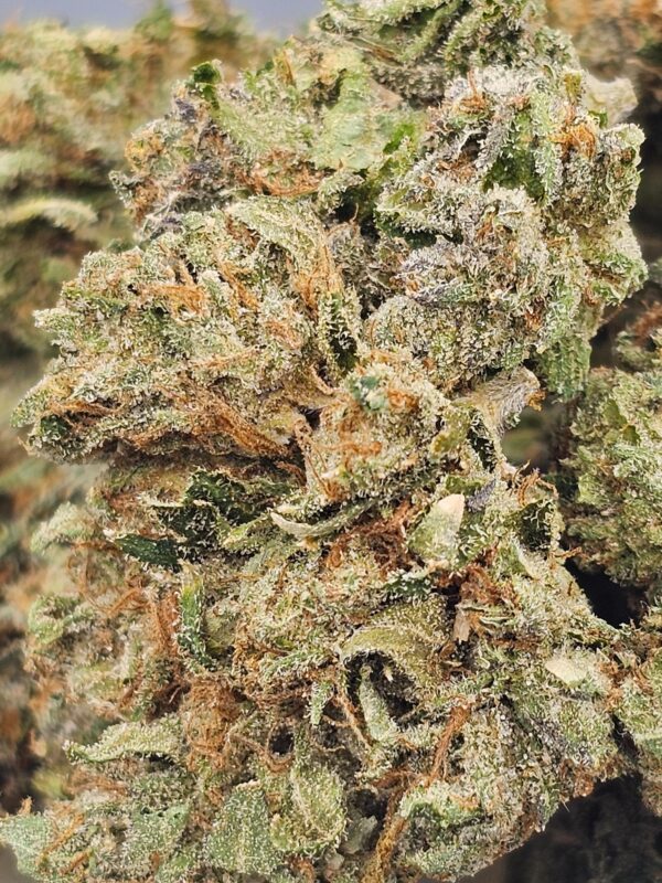 Tom Ford Pink Kush - Image 2