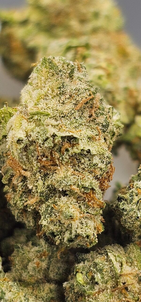 Sour Diesel - Image 2