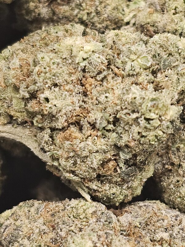Nuken - Image 2
